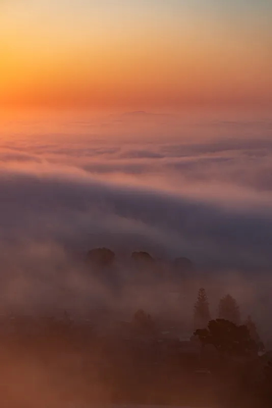 A sea of fog glowing orange under a sunset sky