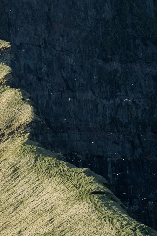 A grassy ridge edge against a dark cliff face